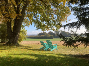 Büsingen am Hochrhein Radfahren, Wandern, Natur geniessen